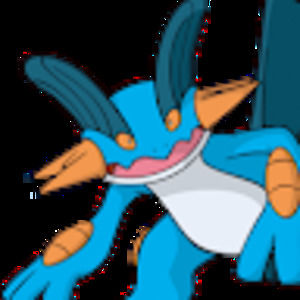 Meet your Posher, Donald